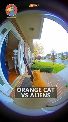 cat vs alien!