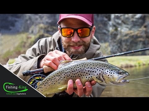 Fliegenfischen mit dem Streamer | Anfänger-Tutorial |+ Livebiss | www.Fishing-King.de