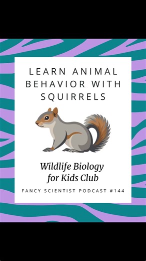🐿️ What better way to celebrate National Squirrel Day than submitting an observation to Project Squirrel? 🌰📊 Learn all about this community science project on the latest 🎙️ Fancy Scientist podcast episode or on my ▶️ YouTube channel under Wildlife Biology for Kids Club. #nationalsquirrelday #squirrels #urbanwildlife #communityscience #outdoorlearning