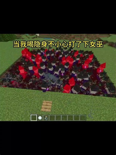 我的世界：當我喝隱身不小心打了一下女巫belike #我的世界 #minecraft