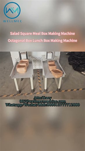 Double Stations Paper Lunch Box Forming Machine,Octagonal Carton Takeaway Cake Box Making Machine