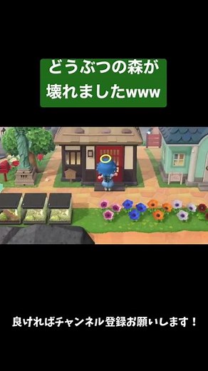 どうぶつの森が壊れました...【あつ森】 #Shorts