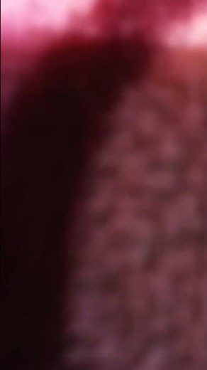 🤪 private part tattoo video 🤫 tattoo video 🥰 girl tattoo video #tattooartist #tattoos #tattoodesign