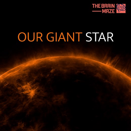 55K views · 2.4K reactions | It's the center of our solar system and by far the largest object. More than a million Earths would fit inside the sun! Our star’s enormous gravity grips the planets, dwarf planets, asteroids, comets, keeping them from spinning into deep space. Put simply, we wouldn’t have a solar system without the sun. | The Brain Maze | Facebook