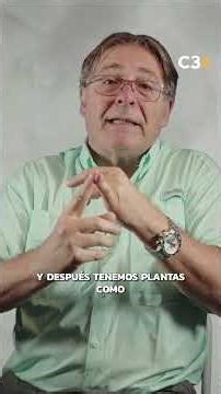 Guillermo Grimoldi comprarte tips mantener a los mosquitos alejados | Cadena 3 Argentina