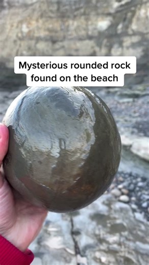 Cracking open a mystery round rock to search for fossils #foryou #foryoupage #fyp