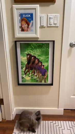 Animorphs! #CLICKBAIT #clicktok #art #horse