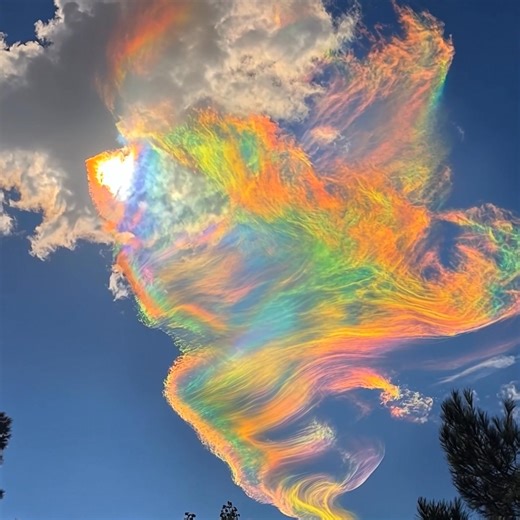Extremely rare 'Fire Rainbow', technically known as a circumhorizontal arc, spotted over Texas 👀 I have never seen anything like it. Have you? | Ethereal Earth