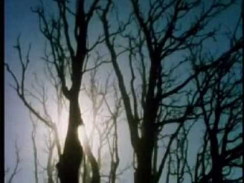 Cosmos episode 4: Heaven and Hell Part 6 of 7