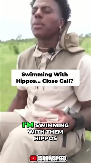 Swimming with Hippos: Adventure in the Wild