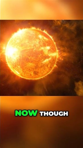 Dark Moon – A New Survival Strategy Adventure