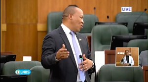 10K views · 189 reactions | National Assembly | Litho tsa ntlo li re marena a li tsohela matla mafung, 'me li ipiletsa ho Letona la Puso ea Libaka, Borena, tsa Lehae le Sepolesa, Mohl. Lebona Lephema, hoa hopotsa protocol. | Mohapi Raymond Nkhahle | Facebook