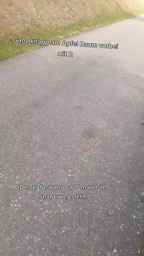 @wassiausdermodelwg @landwirt__julian #70m #steilhang #Schwarzwald #kramer #312 #sl