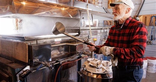 Maple syrup season returns to Ontario: 10  sugar bushes to visit this spring