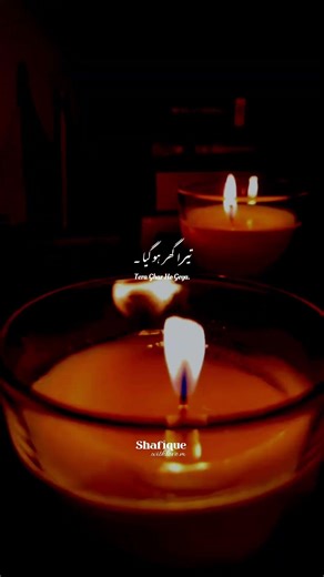 Shaidai | Drama | Ost | Urdu Lyrics | Song | WhatsApp Status | Mashhad | Feroz Khan | Sahar Hashmi