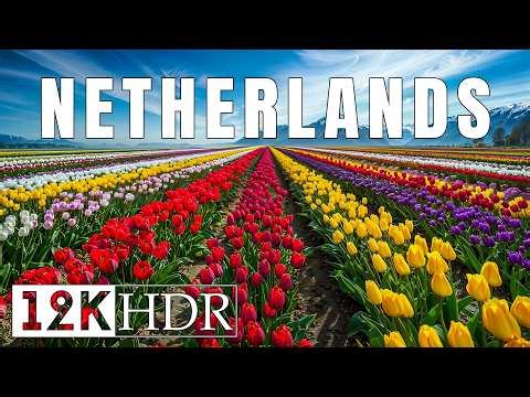 Netherlands Ultra HD 12K | Relaxing Music With Beautiful Natural Landscape - Amazing Nature
