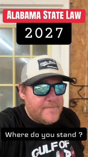 January 1, 2027 ….. every public school in Alabama has to have these hanging ……. 10 commandments, Mayflower compact , and excerpts of the US constitution… Do you fully support this ? #alabama #news #state #law #fyp