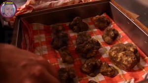 22K views · 589 reactions | La trufa blanca, tesoro enterrado  En este video les muestro el proceso de encontrar las trufas en el campo | El Urrego | Facebook