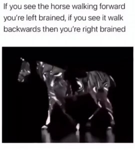 According to theory we are either left-brain or right-brain dominant. "If you're mostly analytical and methodical in your thinking, you're said to be left-brained. If you tend to be more creative or artistic, you're thought to be right-brained. The left brain is more verbal, analytical, and orderly than the right brain. It's sometimes called the digital brain. It's better at things like reading, writing, and computations. According to dated research, the left brain is also connected to: logic se