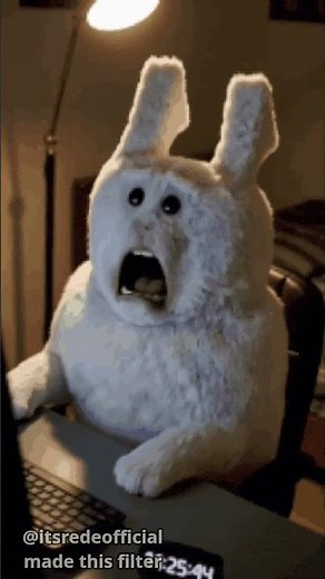 Gooby , this scooby that gooby wifi , gooby ram