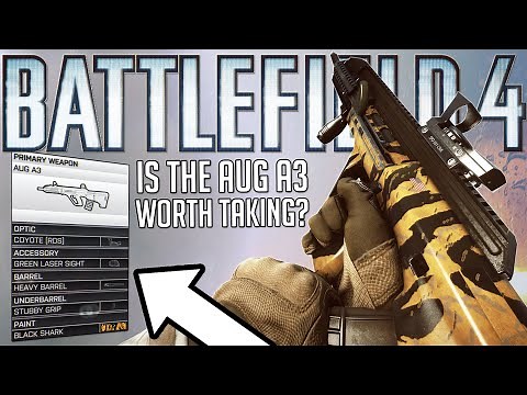 You should try this no recoil LASER AUG in Battlefield 4