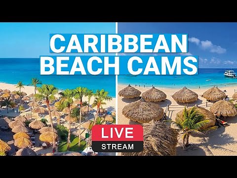 Best Caribbean Beaches - Live cams 🌴
