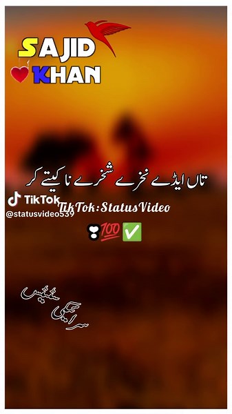 Emotional Urdu Poetry Status Video