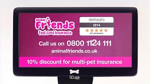 Animal Friends // TVC // Treadmill 30"