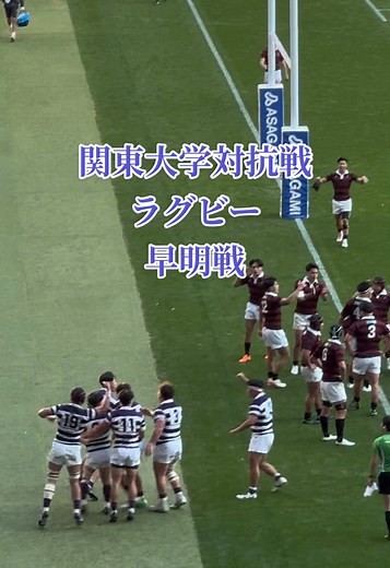 関東大学対抗戦ラグビー 早明戦 明治大学トライ #ラグビー #大学ラグビー #明治大学 #早稲田大学 #早明戦