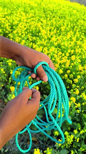Easy Rope Loop. #diy #knots #lifehacks #knotting #rope
