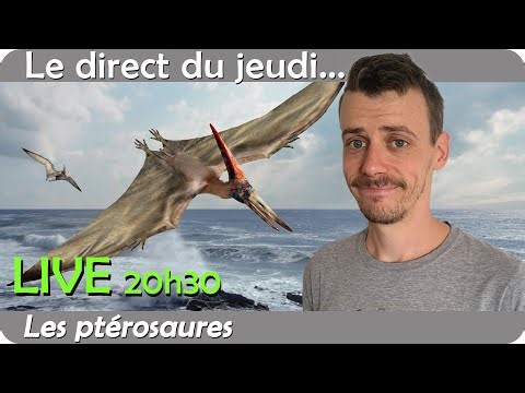 Les ptérosaures : Conférence de Romain Burlot