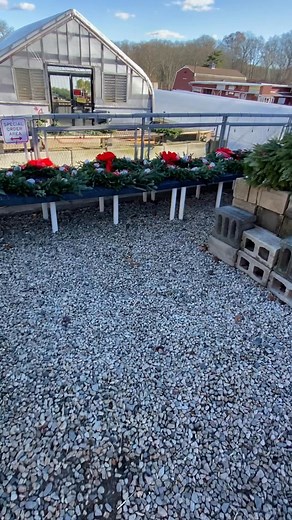 Steve Barnes Jr. on Reels