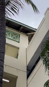 8.3K views · 81 reactions | #parkour #movement #training #barefoot #fitness #climbing | Mathieu Jang | Facebook