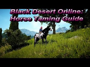 BDO: Horse Taming Guide - Locations