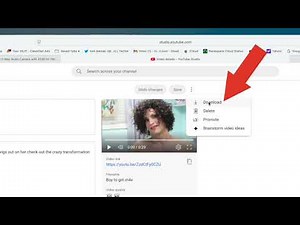 How to download a video from youtube on to your Mac desktop