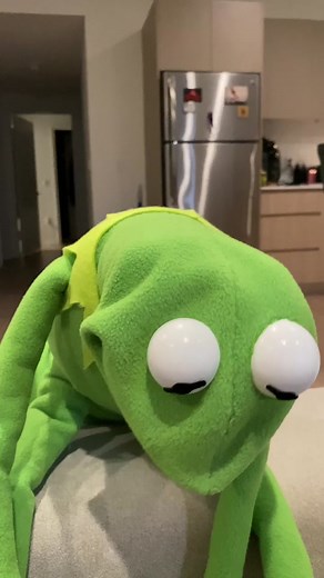 Kermit The Frog Parody Impressions Compilation