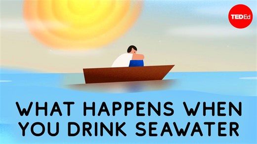 81K views · 1.1K reactions | Why don’t we get our drinking water from the ocean? And is there any way we can transform saltwater into drinkable freshwater? | TED-Ed | Facebook
