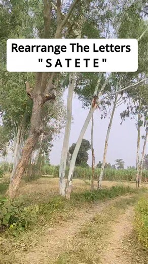 #foryourpage #wordpuzzle #englishlearners #GuessTheWord | Sensible Edu