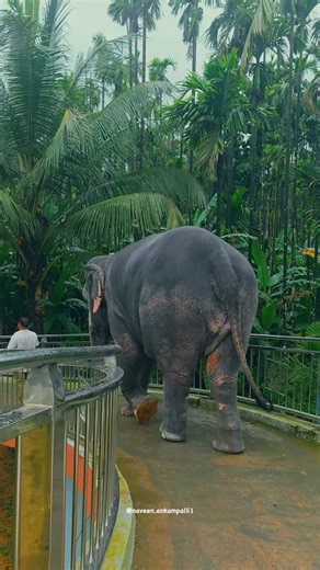 Naveen Reddy on Instagram: "📍Sringeri Temple standing gracefully beside the Tunga River in the heart of the monsoon."