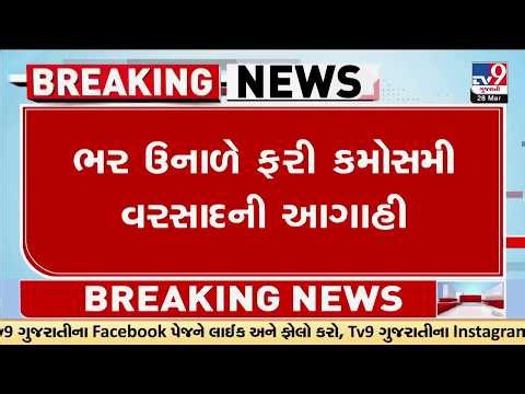 ભર ઉનાળે ફરી કમોસમી વરસાદની આગાહી, વેસ્ટર્ન ડિસ્ટર્બન્સના કારણે વરસાદની આગાહી | Gujarat | TV9