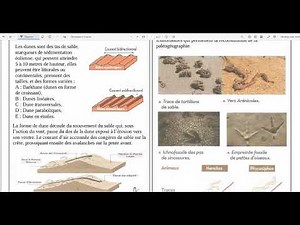 10-Fentes de dessication et stratification croisée