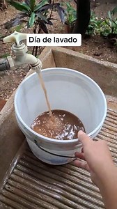 2.1M views · 31K reactions | En temporada de lluvias aqui en el pueblo sale chocolate de la llave. #viralvideoシ #reelsviralシ | Norbeya O. | Facebook