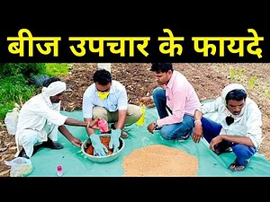 बीज उपचार क्या है | जानें, बीजोपचार के लाभ | Benefits of seed treatment | Krishi Network