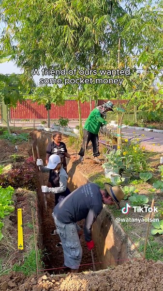 #thailand #lifeinthailand #countrylife #garden #lifestyle #ความสุข #เกษตรพอเพียง