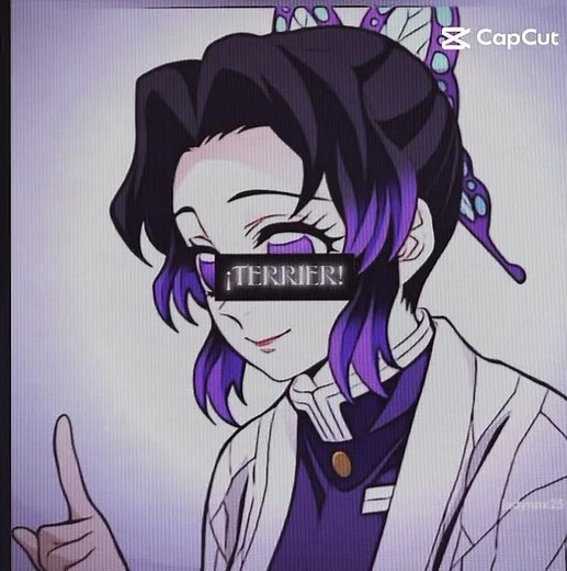shinobu x tomioka #demonslayer #kimetsunoyaiba #anime