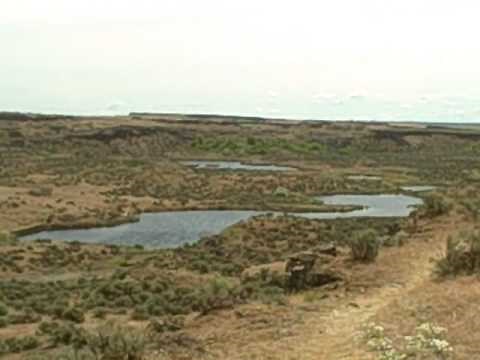 Channeled Scablands from Above