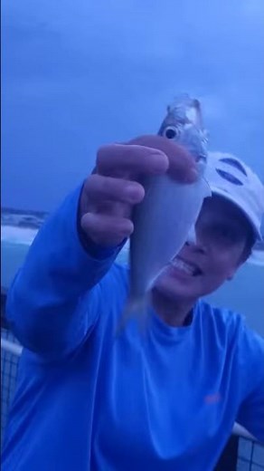 #fishing Navarre Beach fishing pier Interesting World Documentary