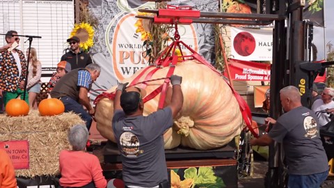 RAW VIDEO: 1 tonne pumpkin wins California's World Championship weigh-off 1/3