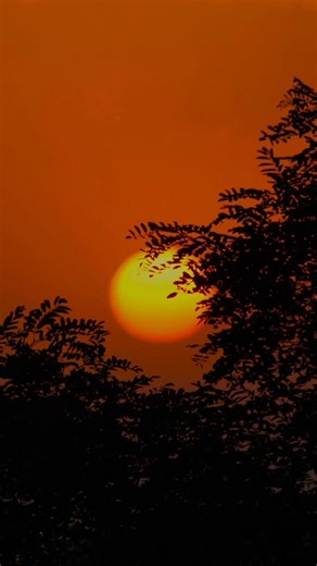 The man who introduced Algebra to the world