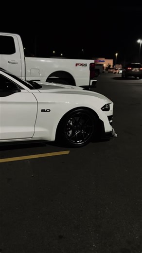Start the New Year Right: Post Your Mustang Adventures